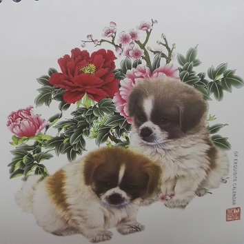 QQ图片20180209145648.jpg