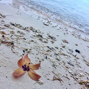 beach.jpg