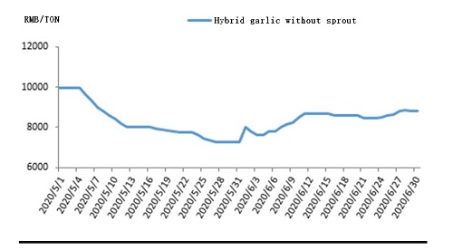 Domestic garlic slice price chart.jpg