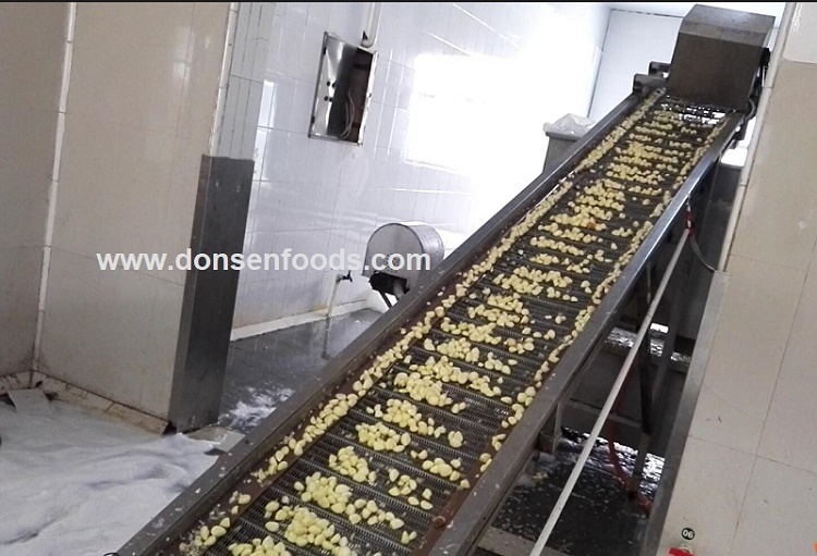 Production of garlic.jpg